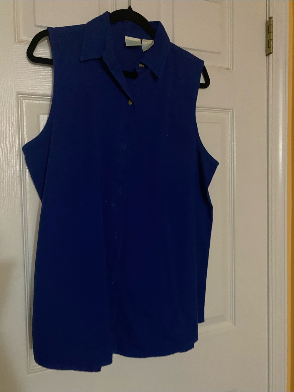 Sleeveless Button-Front Blouse in Royal Blue